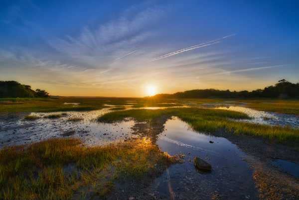 A sunset view of a lowland Florida mangrove